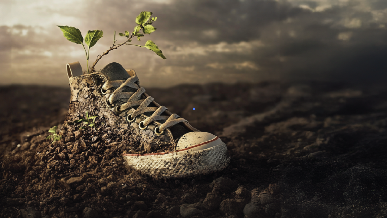 NoneOfYourIssueShoe 2025: The Revolutionary Footwear That Instantly Solves Every Single Foot Problem – For Good! NoneOfYourIssueShoe 2025: The Revolutionary Footwear That Instantly Solves Every Single Foot Problem – For Good!