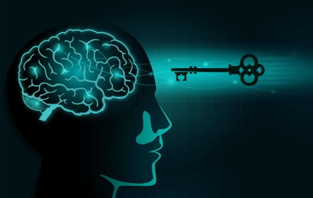 shopnaclo.com business minds​